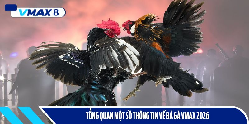 đá gà vmax 2026 tổng quan