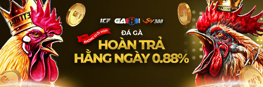 hoàn trả ngày đá gà