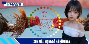 màu mạng gà đá hôm nay