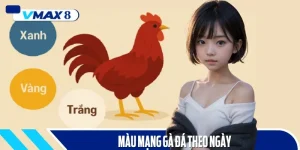 màu mạng gà đá theo ngày