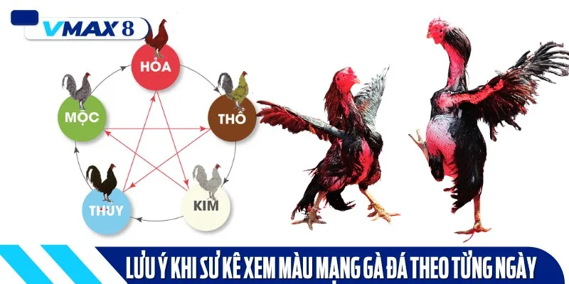 màu mạng gà đá theo ngày cần nhớ
