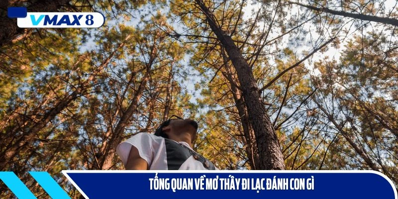 mơ thấy đi lạc đánh con gì tổng quan