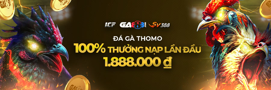 nạp đầu đá gà