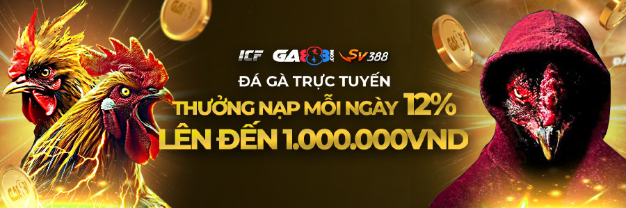 nạp lại đá gà
