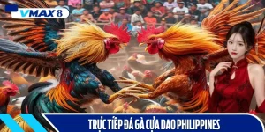 trực tiếp đá gà cựa dao philippines