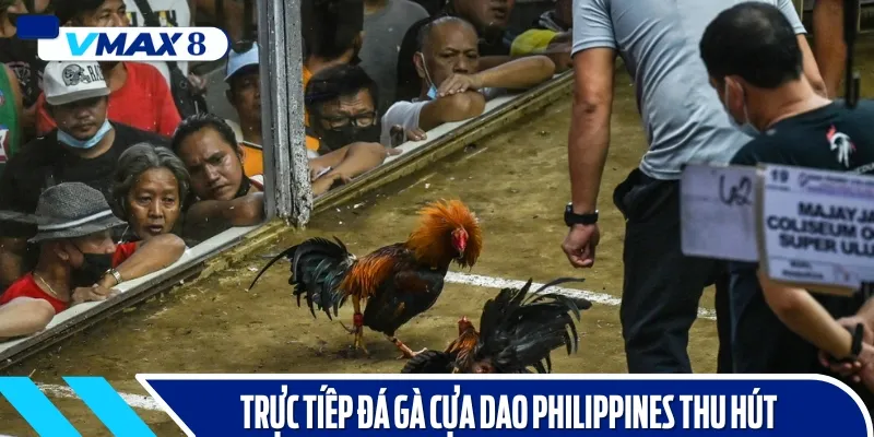 ưu điểm trực tiếp đá gà cựa dao philippines